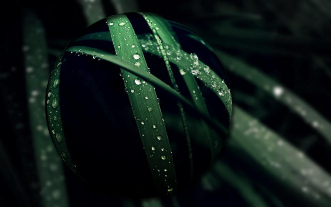 一张美味的图片 &middot; #697