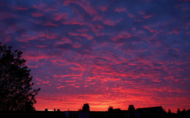 一张美味的图片 &middot; #787