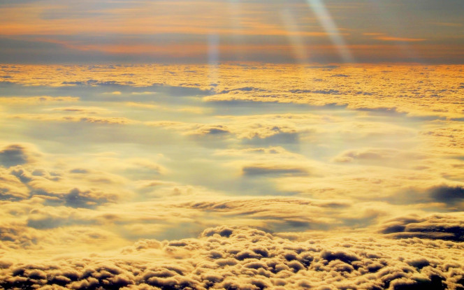 一张美味的图片 &middot; #70