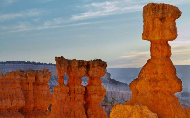 一张美味的图片 &middot; #2211