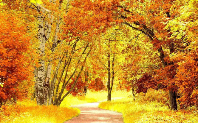 一张美味的图片 &middot; #4045