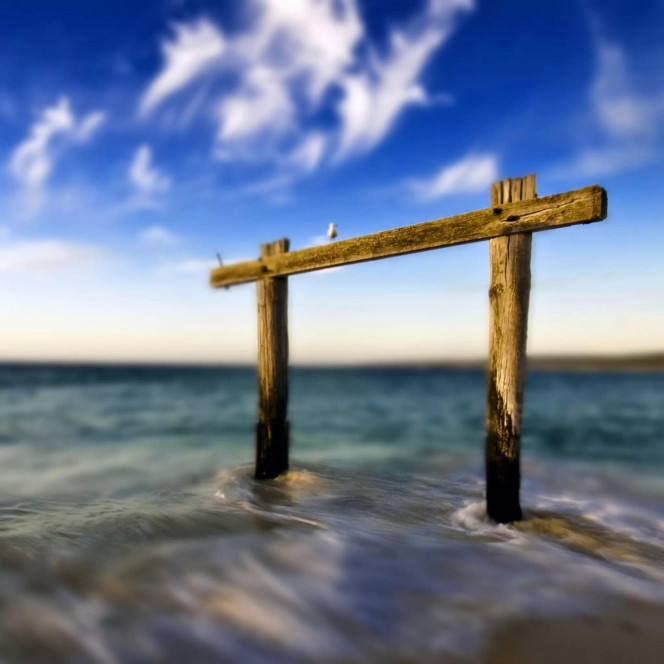 一张美味的图片 &middot; #2264