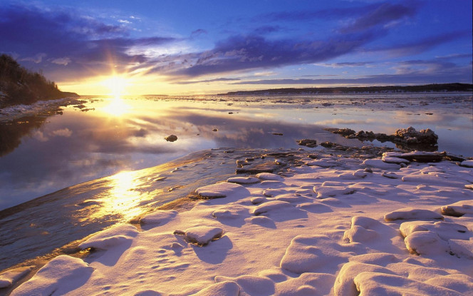 一张美味的图片 &middot; #1345