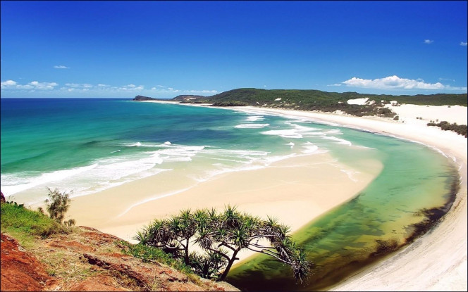 一张美味的图片 &middot; #2701