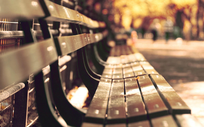 一张美味的图片 &middot; #72