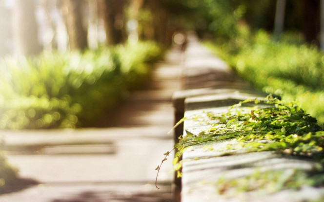 一张美味的图片 &middot; #1611