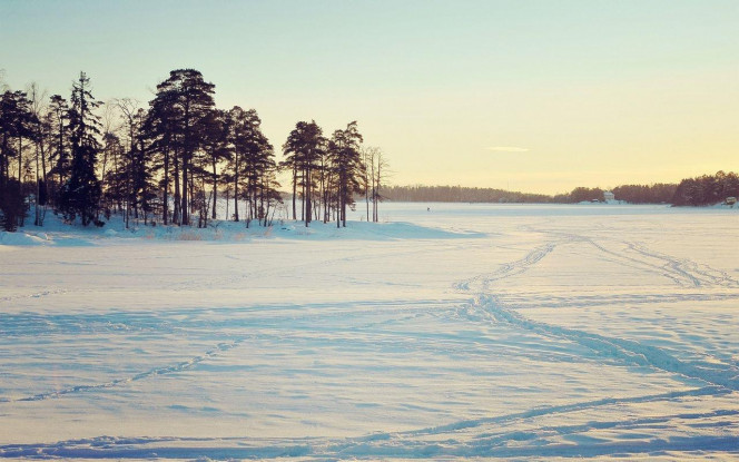 一张美味的图片 &middot; #4390