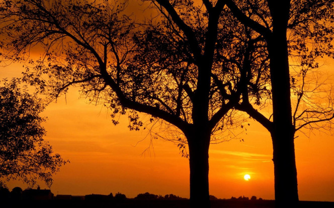 一张美味的图片 &middot; #1069