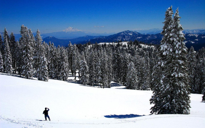 一张美味的图片 &middot; #1883