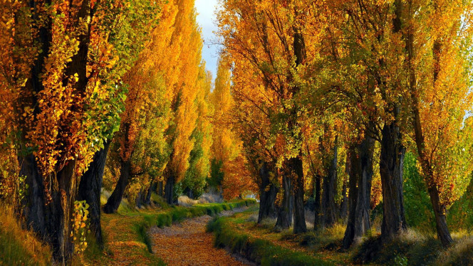 一张美味的图片 &middot; #1616