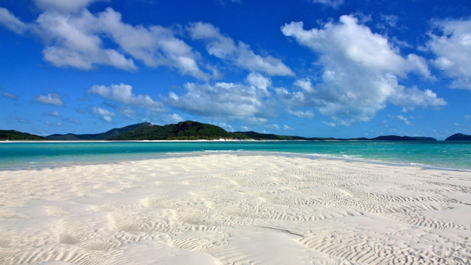 一张美味的图片 &middot; #2579