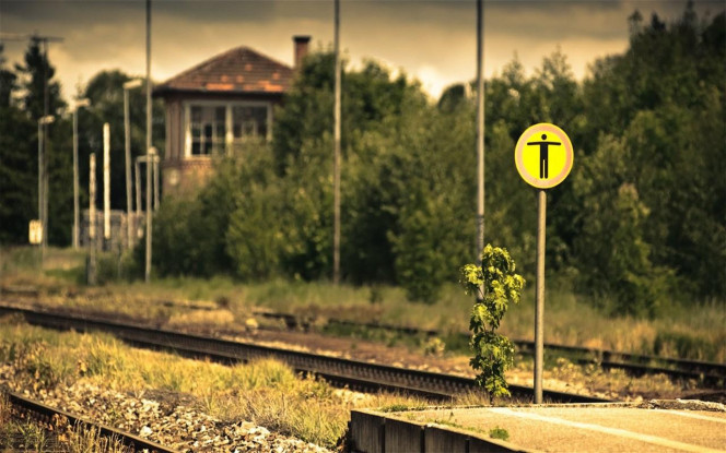 一张美味的图片 &middot; #519