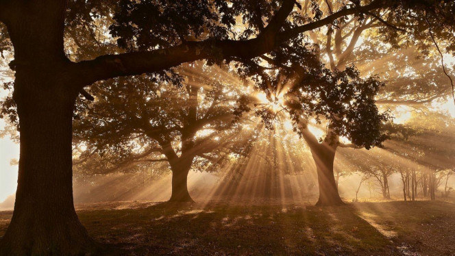 一张美味的图片 &middot; #1813