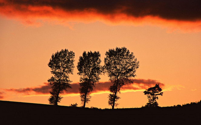 一张美味的图片 &middot; #2157