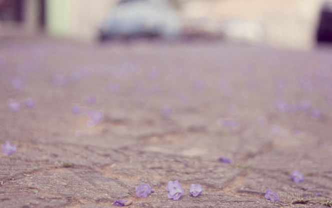 一张美味的图片 &middot; #777