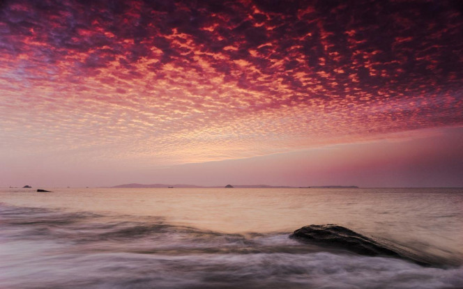 一张美味的图片 &middot; #3499