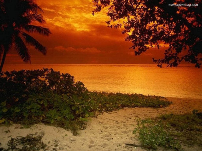 一张美味的图片 &middot; #1002