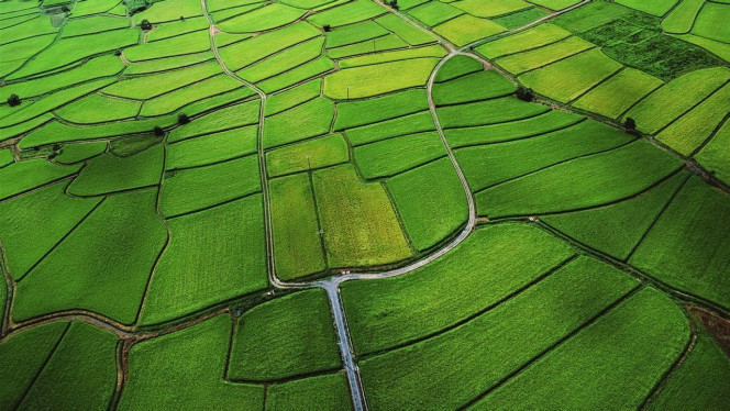 一张美味的图片 &middot; #2595