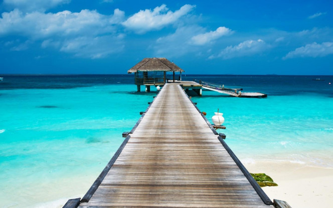 一张美味的图片 &middot; #3236