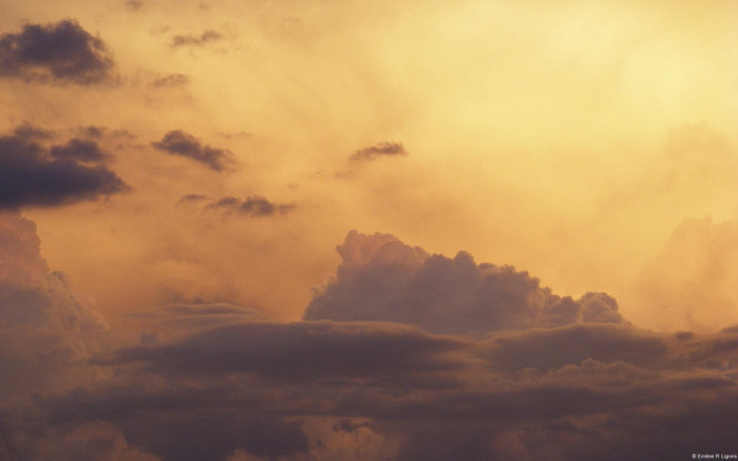 一张美味的图片 &middot; #1847