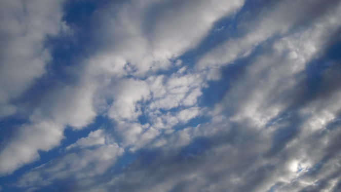 一张美味的图片 &middot; #3184