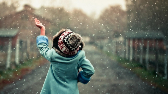 一张美味的图片 &middot; #786