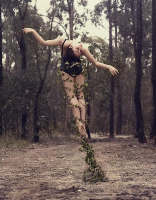 一张美味的图片 &middot; #276