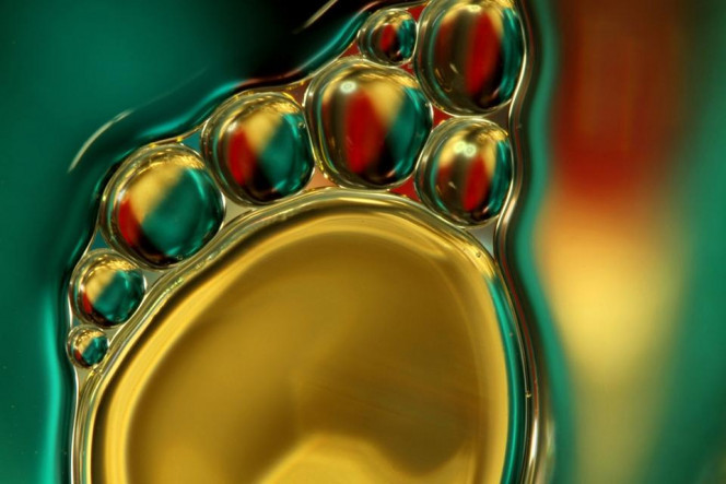 一张美味的图片 &middot; #2836