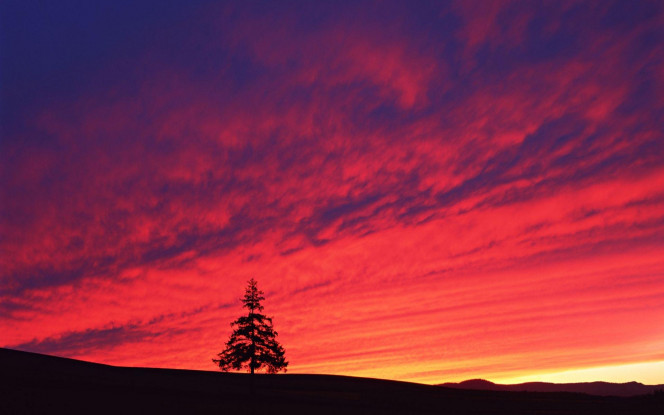 一张美味的图片 &middot; #2183