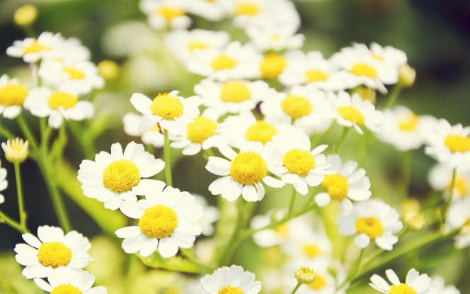 一张美味的图片 &middot; #4159