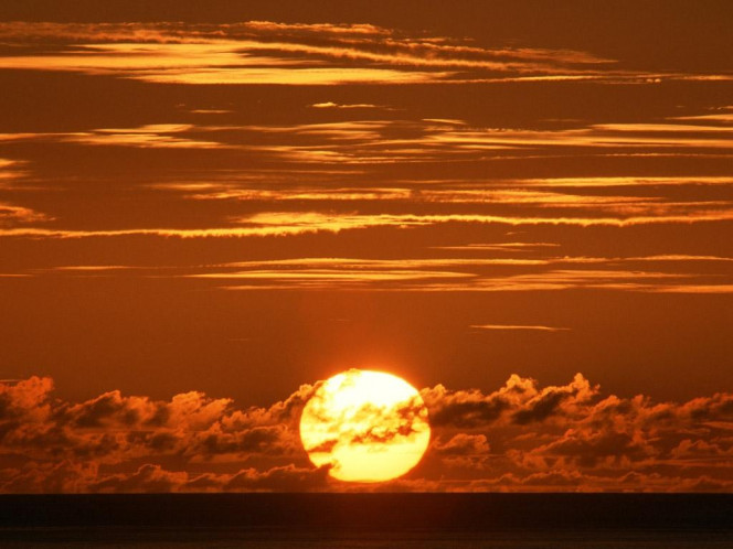 一张美味的图片 &middot; #567