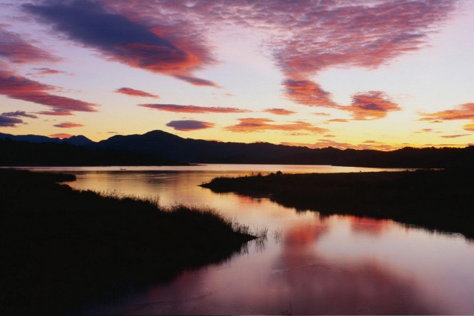 一张美味的图片 &middot; #1248