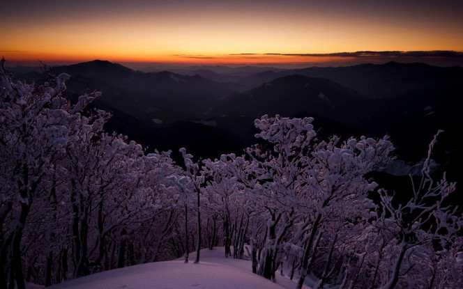 一张美味的图片 &middot; #2001