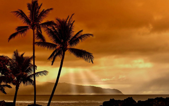 一张美味的图片 &middot; #490