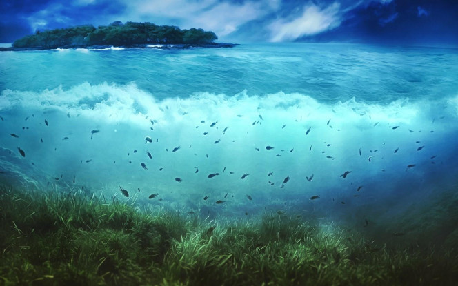 一张美味的图片 &middot; #2525