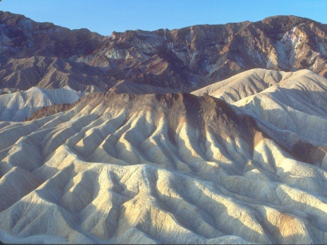 一张美味的图片 &middot; #502