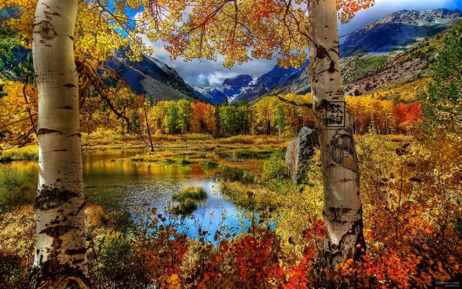 一张美味的图片 &middot; #4020