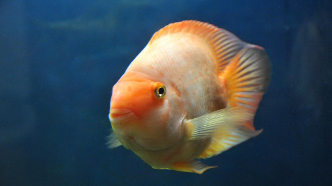 一张美味的图片 &middot; #2842