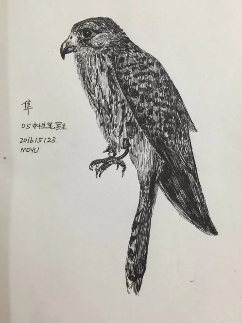 一张美味的图片 &middot; #5522