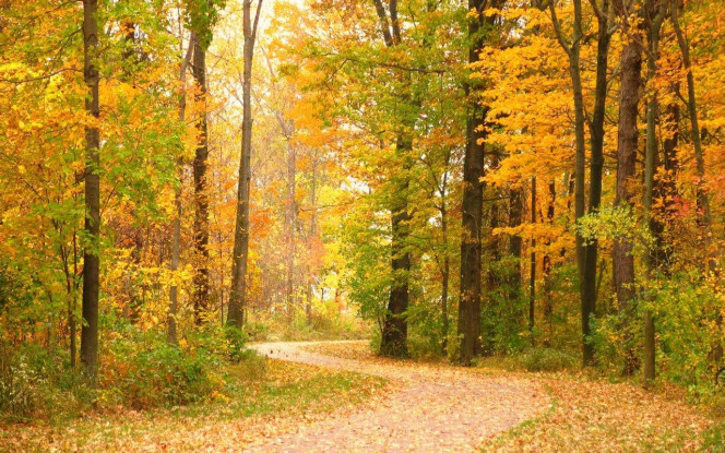 一张美味的图片 &middot; #3940