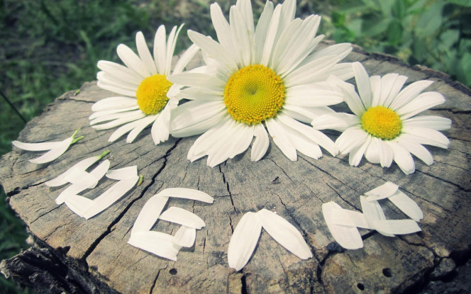 一张美味的图片 &middot; #1695