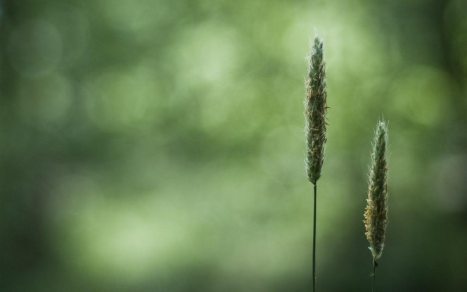 一张美味的图片 &middot; #503