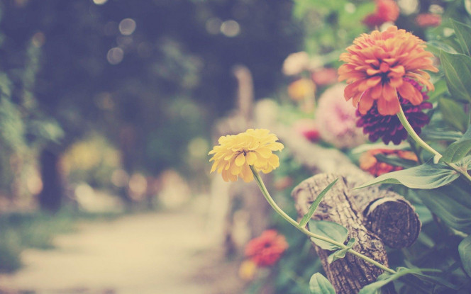 一张美味的图片 &middot; #4264