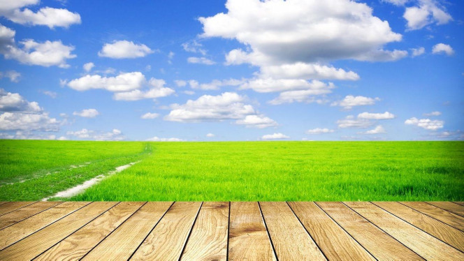 一张美味的图片 &middot; #4247