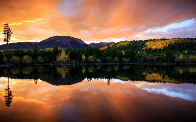 一张美味的图片 &middot; #4021