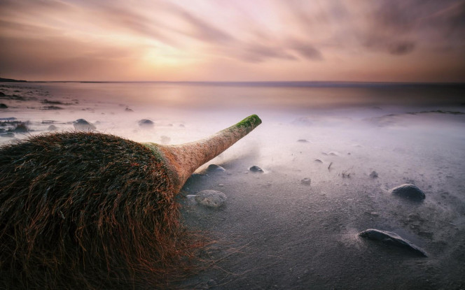 一张美味的图片 &middot; #4341