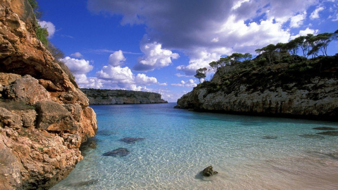 一张美味的图片 &middot; #2657