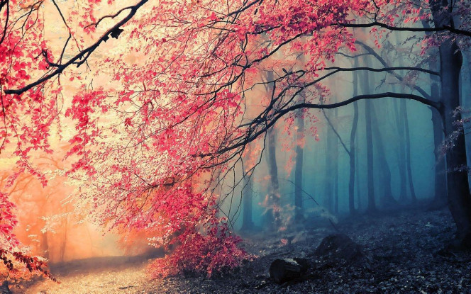 一张美味的图片 &middot; #1825