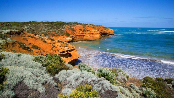 一张美味的图片 &middot; #4148