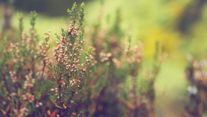 一张美味的图片 &middot; #3609